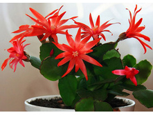 60955824 313b84a105e9a14c50682865a8b3898c 800.jpg