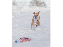 32764980950 35dc733007 o.jpg