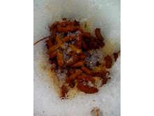 IMG 20170319 102836.jpg