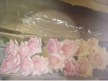 2017-03-28 10-55-05.JPG