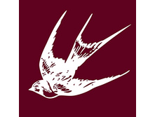 101065-belyi-150�129=10�