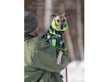 32302233504 00320786d5 o.jpg