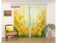 �������� "������ ��������" 2 640,00 ���. �����: ����������� �������: 290x260 �� ��������: ����� �����: 03174