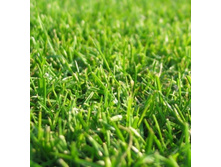 ���������� ���� ��������.jpg