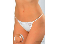 ������� BD31009 Cachi.jpg