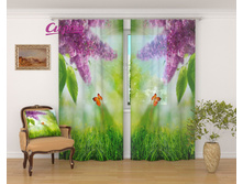 �������� "������ � �������" 2 640,00 ���. �����: ����������� �������: 290x260 �� ��������: ����� �����: 02460