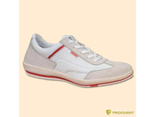 2500� ������ 7706 �����