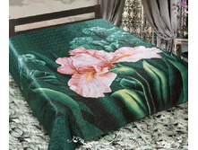 ��������� ����� ���� 220�240 �������� "����" 937,00 ���.