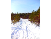 IMG 20170311 095147.jpg