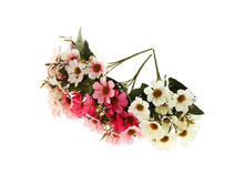 ����� "������" 26 ��, ��������� "������" 26 ��, ���� �����; 12 �� × 26 ��; �������, ��������; � ����� 248 ��. ���.: 1769246 71.20���.