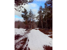 IMG 20170325 105742.jpg