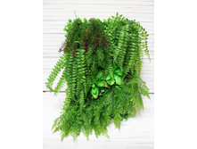 ���������� 04