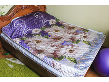 ��������� ���� 1,5 �������� (150�210) No80 620,00 ���.