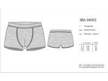 ������� IBA34003 Academia.jpg