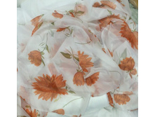 ������� ���������.jpg