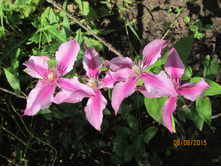 �������� ���� �������.JPG