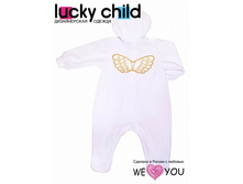 "���������� � ��������� (�����) ������ 80% ������ 20% ���������" 17-3���