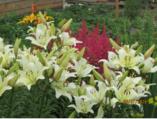 ��������� ����� 2.JPG