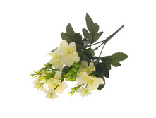 ����� "��������" ��������� "��������" ���� �����; 30 ��; �������, ��������; � ����� 800 ��. ���.: 1274870 71.50���