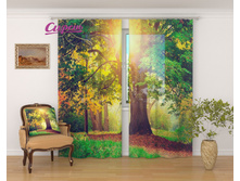 �������� "������ � �����" 2 640,00 ���. �����: ����������� �������: 290x260 �� ��������: ����� �����: 01162