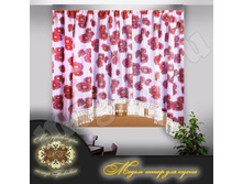 ����� ���� 430 ���