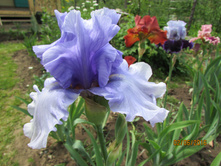 ���� ��������� ���� ����