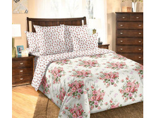 ��� ������� 1,5��. ���� "����� 2" 1 313,00 ���.