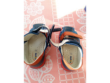 IMG 20170312 105132.jpg