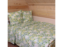 ��� 2 �� ���� 100 ��/� "������ 064" 562,00 ���.