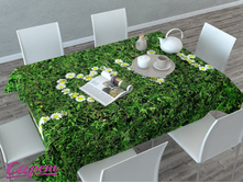 �������� 3D "���������" �����: ����������� �������: 145*120 �� ��������: �������� �����: 00399 ����: 800