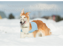 33048968531 10687bd94e o.jpg