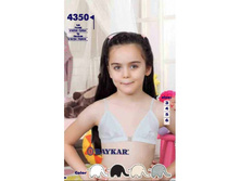 ������ ��� ������� 4350  ������ 3 �����. ���� 60 ���..jpg