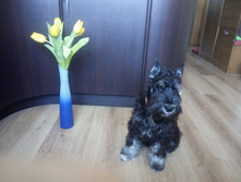 IMG 20170309 101425.jpg