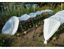 ������ ����+ 6 �-1230 �