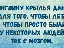 Tmp 16586-20170323 1741001150244107.jpg