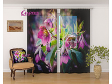 �������� "����������� ������" 2 640,00 ���. �����: ����������� �������: 290x260 �� ��������: ����� �����: 02635