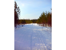 IMG 20170311 095010.jpg