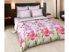 ��� ������ ���� ���� "��������� �����" ���. 4622 ��� 2 (������� ����) 1 269,00 ���.