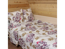 ��� �������� ���� ���� "������ 801" 1 341,00 ���. ������: 100% ������