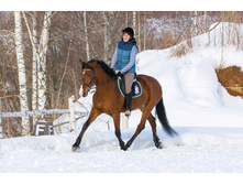 ��������� �������� )))