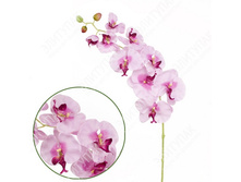 ��000503 ������� ���������� "�������" 95 �� 1 �� (�������)  ������ ���� 297  ����� ����  178,2