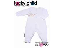 "���������� ������ 100% ������" 17-1���