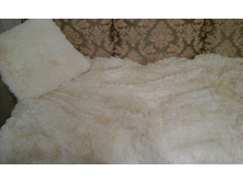 �������� ������.jpg