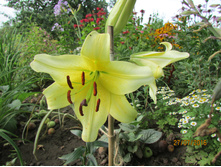 �� ���������.JPG