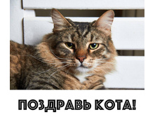 �������� ����!