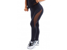 ������ � ������ �� ������ lp.061 _2274 ���