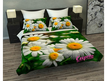 ��������� 3D "������� �������" �����: ����������� �������: 145*220 �� ��������: �������� �����: 02945 ����: 1 200