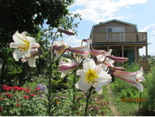 ��������� ������.JPG