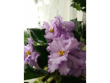 IMG 20170325 131939.jpg