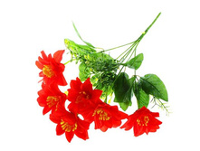 ����� "��������� �����������" ��������� "��������� �����������" ���� �����; 35 ��; �������, ��������; � ����� 600 ��. ���.: 1653811 74.36���